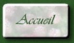 accueil